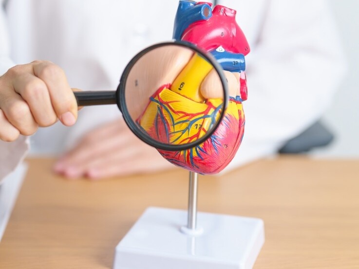Check Up Prevenzione Cardiologica