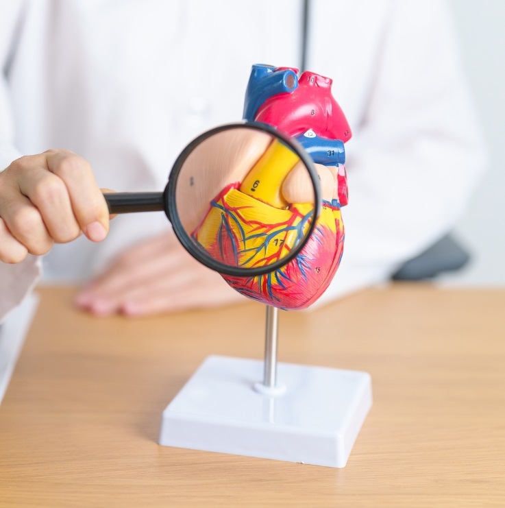 Check Up Prevenzione Cardiologica
